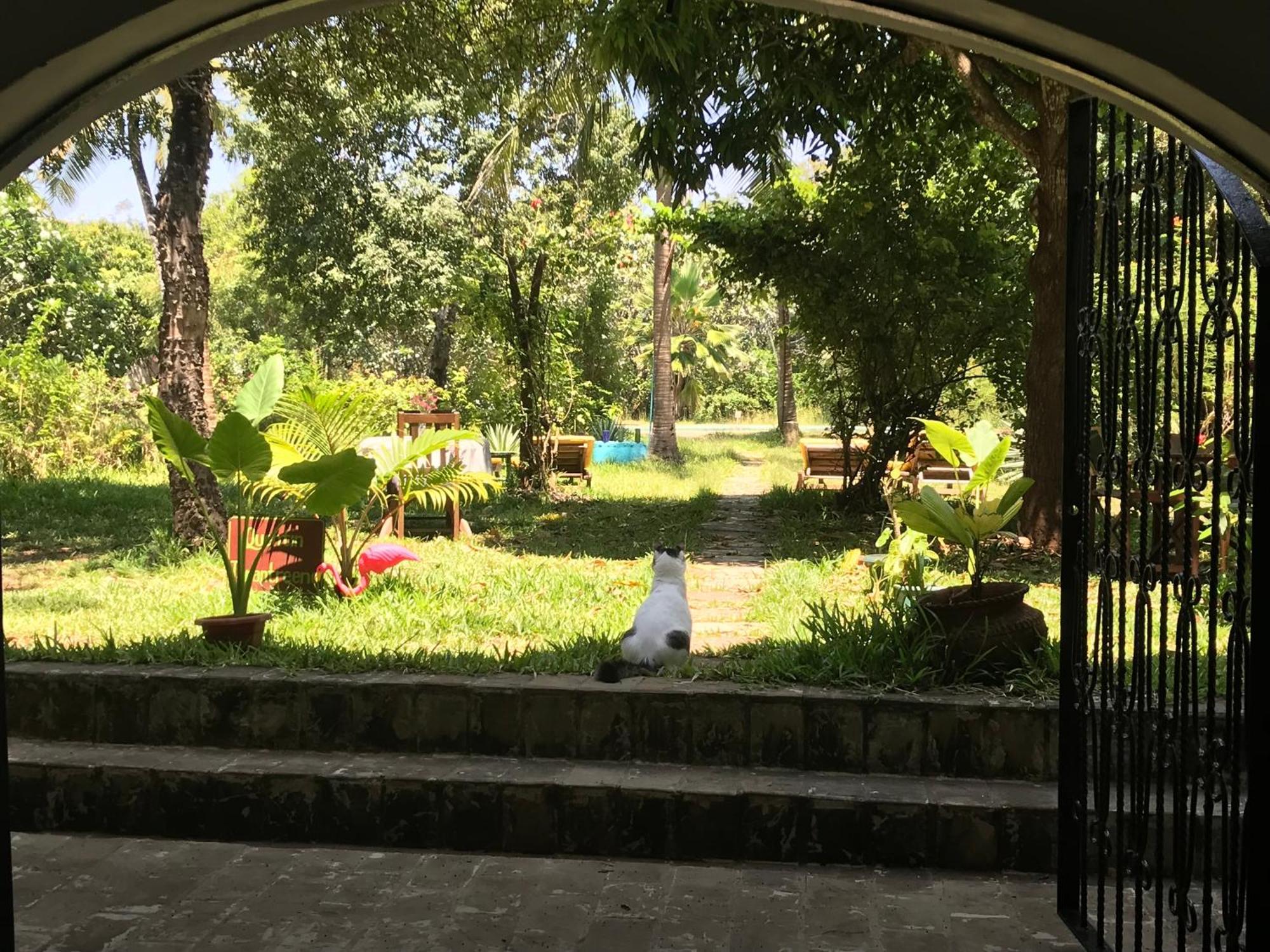 Footprints House Hotel Diani Beach Exterior photo